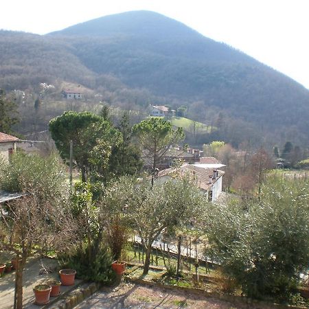 Locanda-Trattoria Al Rio Cinto Euganeo Kültér fotó
