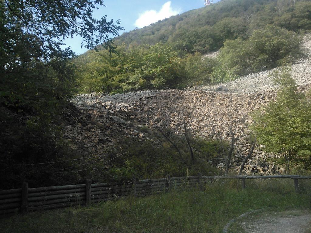 Locanda-Trattoria Al Rio Cinto Euganeo Kültér fotó